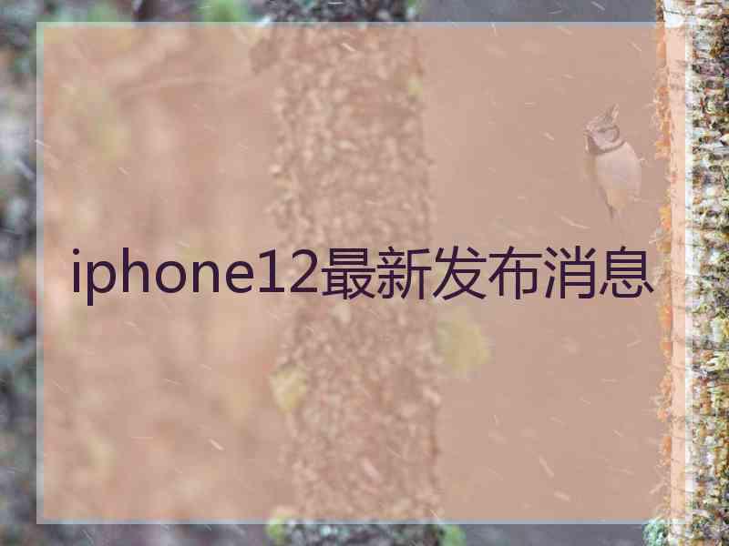 iphone12最新发布消息