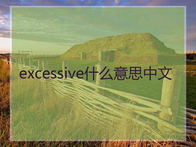 excessive什么意思中文