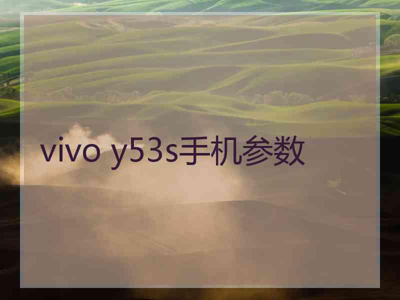 vivo y53s手机参数