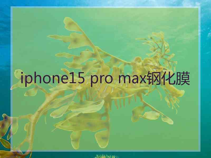 iphone15 pro max钢化膜