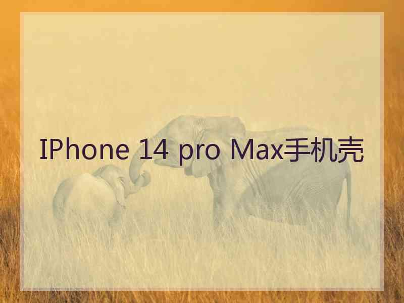 IPhone 14 pro Max手机壳