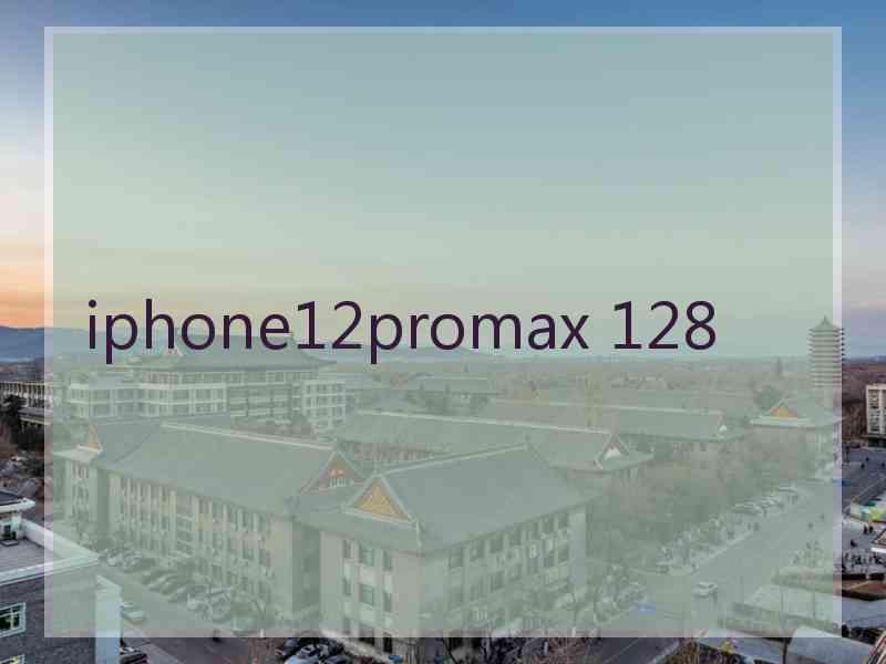 iphone12promax 128