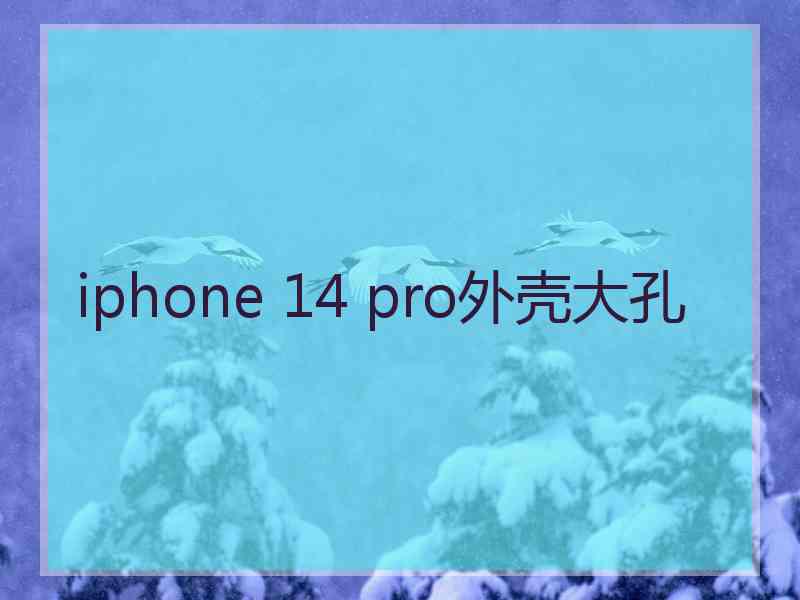 iphone 14 pro外壳大孔