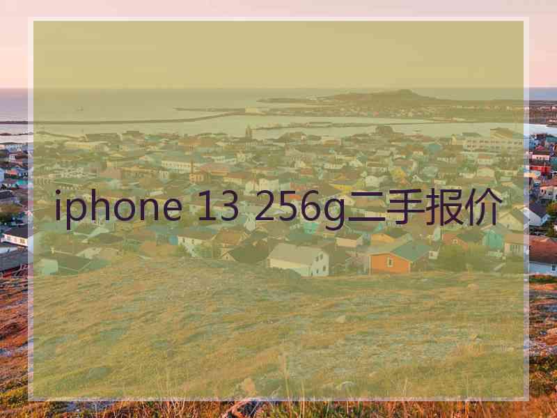 iphone 13 256g二手报价