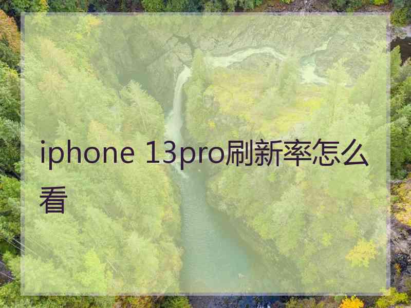 iphone 13pro刷新率怎么看