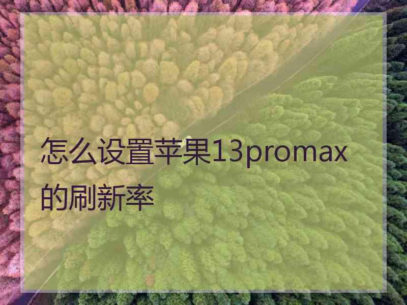 怎么设置苹果13promax的刷新率