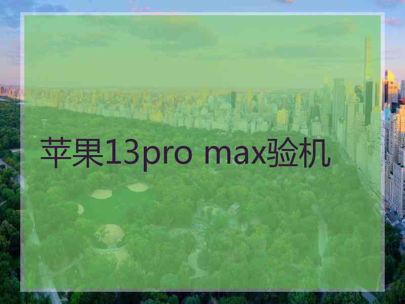 苹果13pro max验机