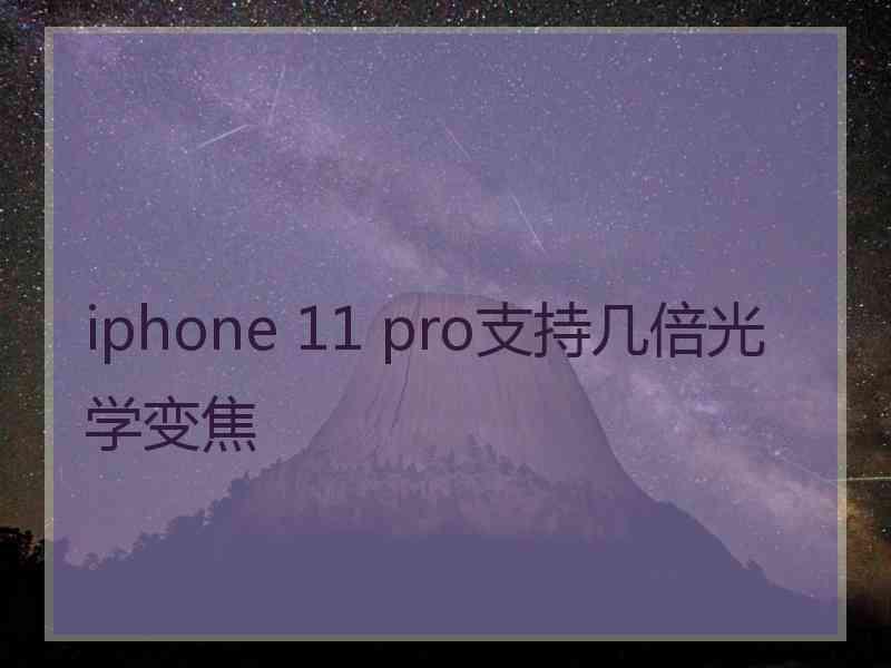 iphone 11 pro支持几倍光学变焦