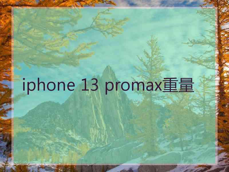 iphone 13 promax重量