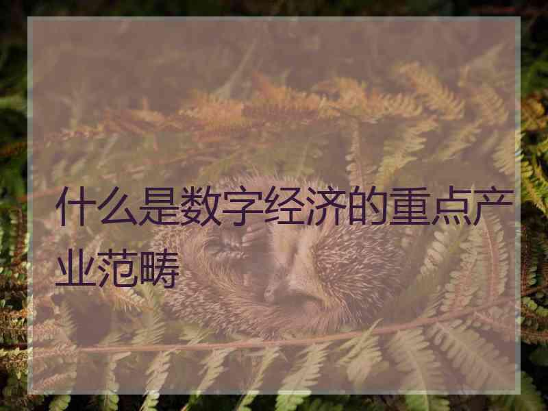 什么是数字经济的重点产业范畴