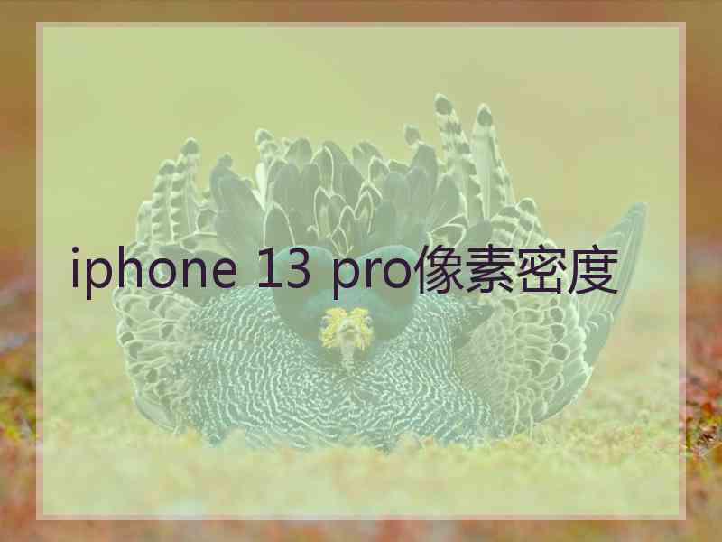 iphone 13 pro像素密度