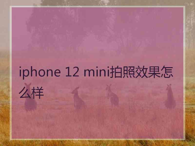 iphone 12 mini拍照效果怎么样