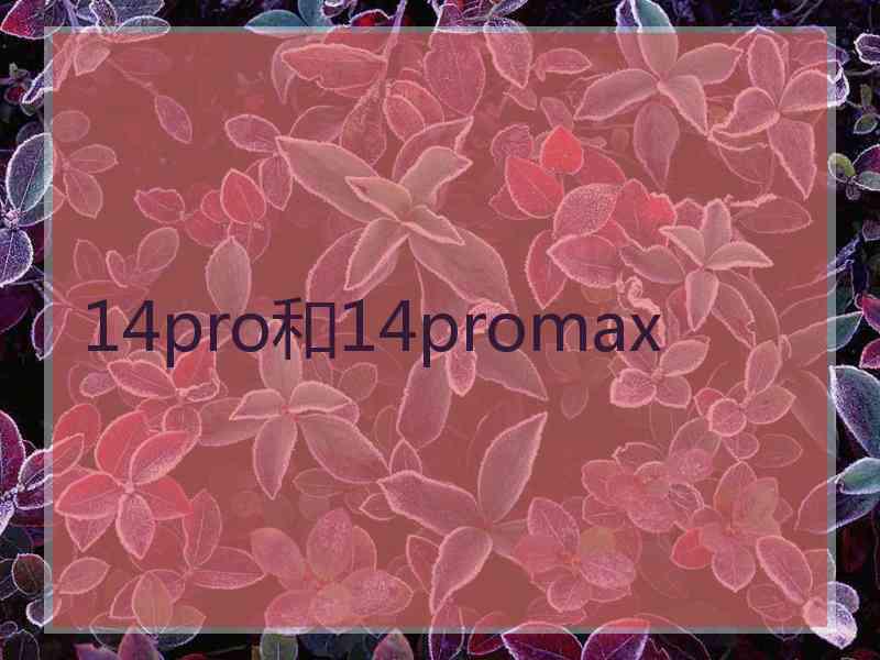 14pro和14promax