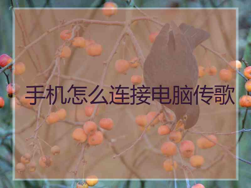 手机怎么连接电脑传歌