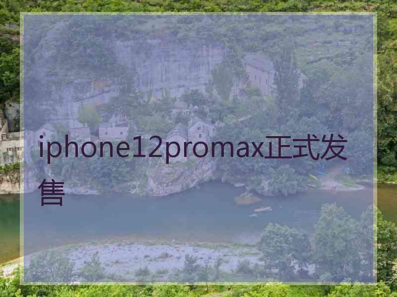 iphone12promax正式发售