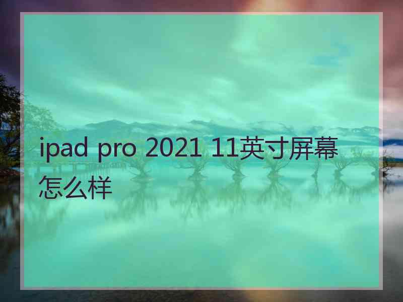 ipad pro 2021 11英寸屏幕怎么样