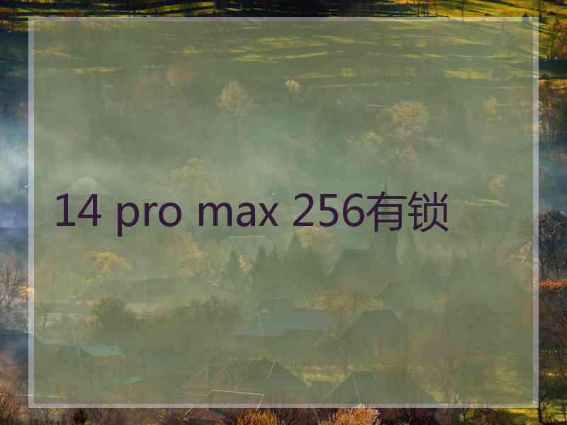 14 pro max 256有锁