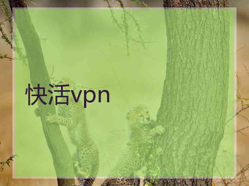 快活vpn