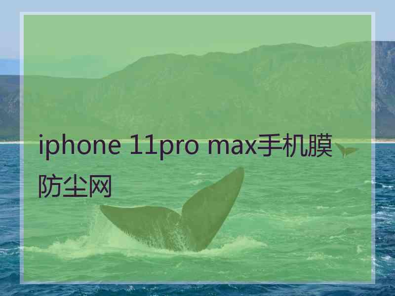 iphone 11pro max手机膜防尘网