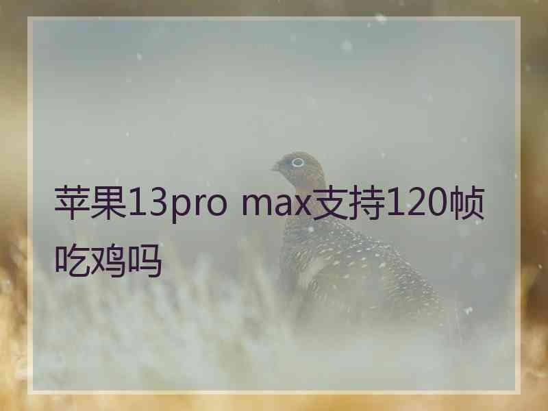 苹果13pro max支持120帧吃鸡吗