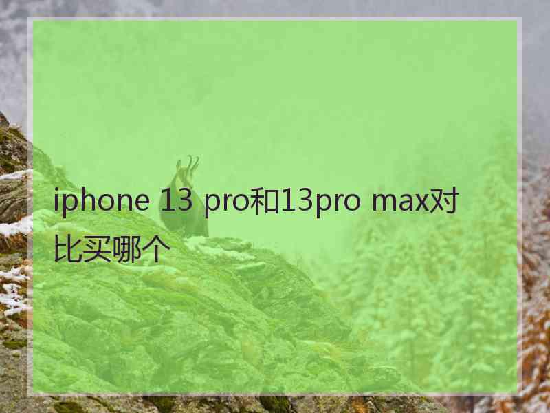 iphone 13 pro和13pro max对比买哪个