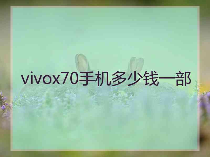 vivox70手机多少钱一部