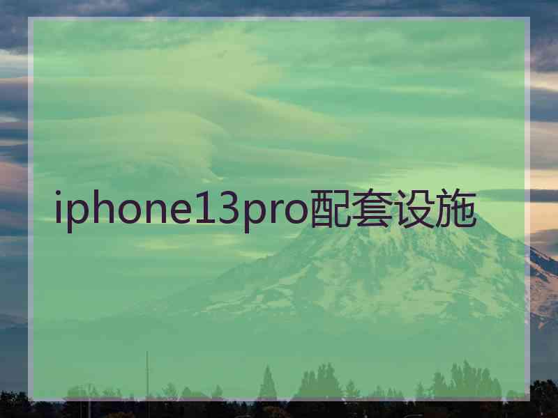 iphone13pro配套设施