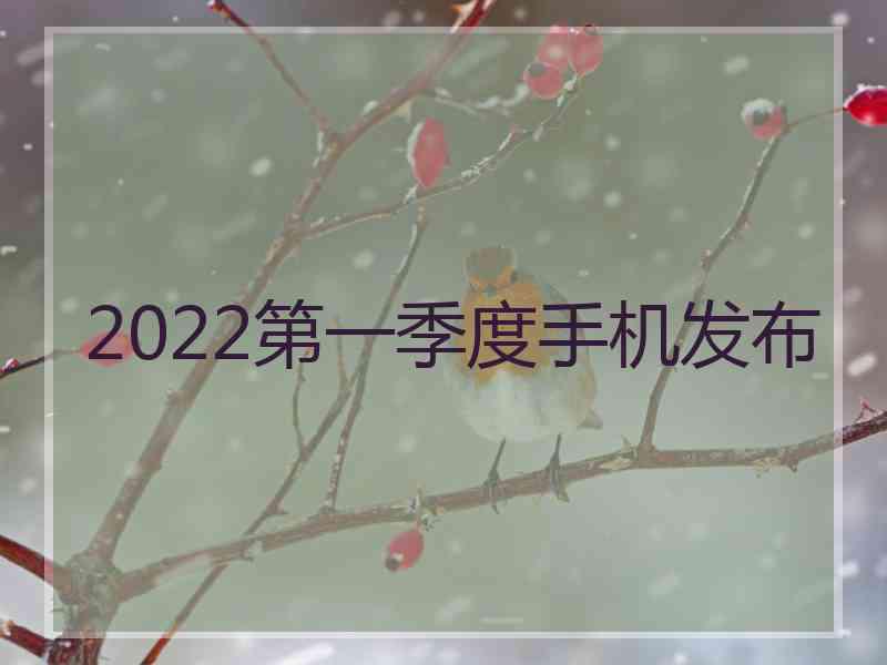 2022第一季度手机发布