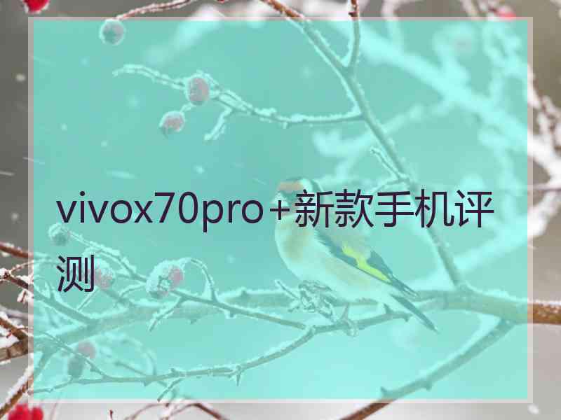 vivox70pro+新款手机评测