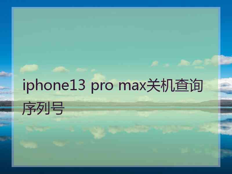 iphone13 pro max关机查询序列号