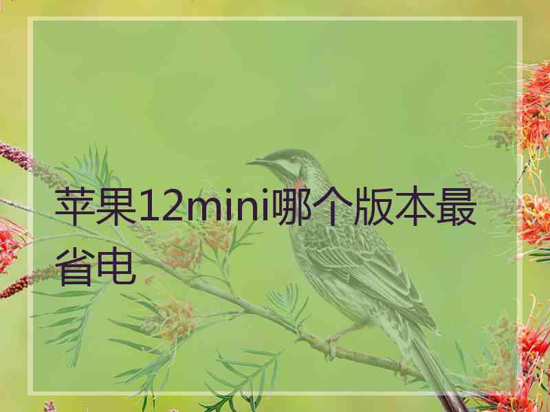 苹果12mini哪个版本最省电