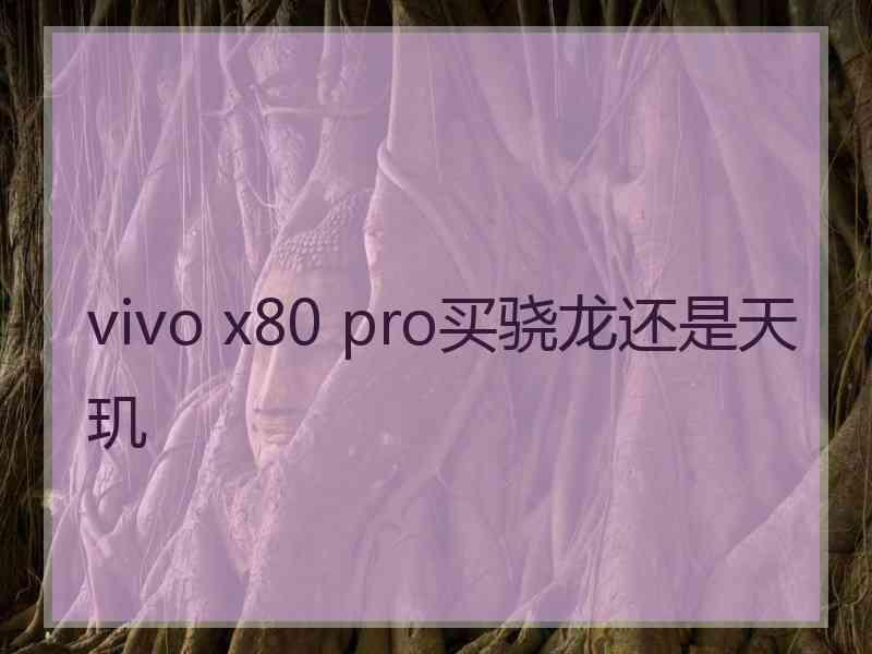 vivo x80 pro买骁龙还是天玑