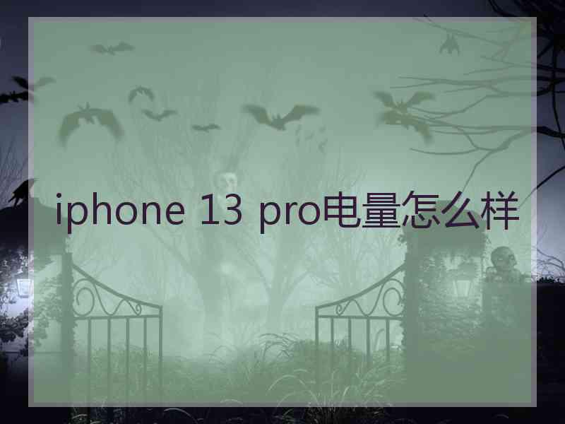 iphone 13 pro电量怎么样