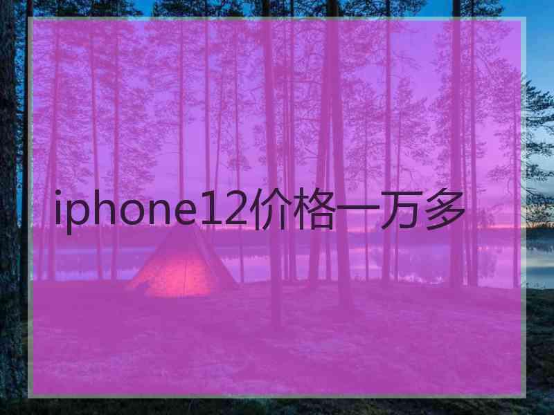 iphone12价格一万多