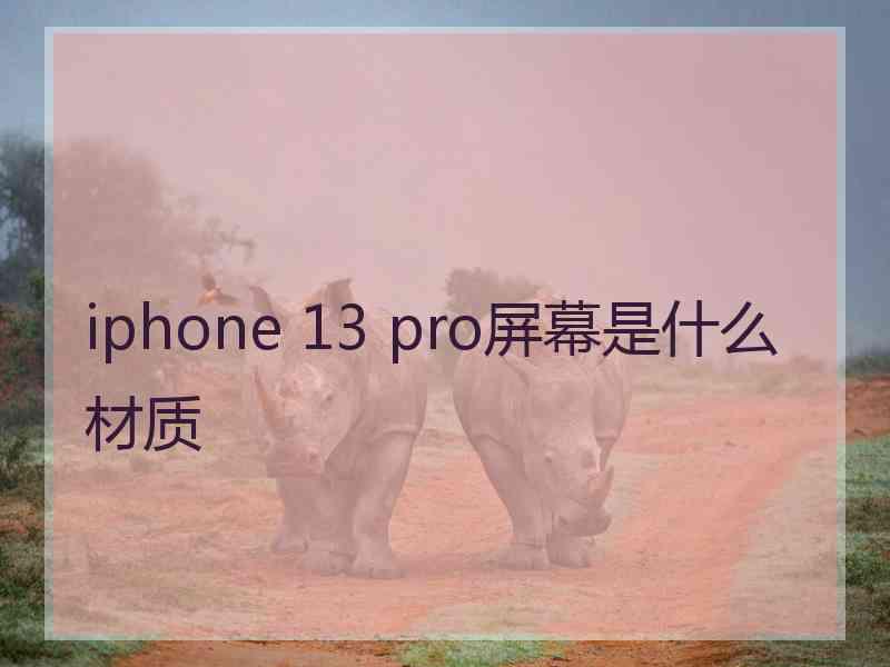 iphone 13 pro屏幕是什么材质