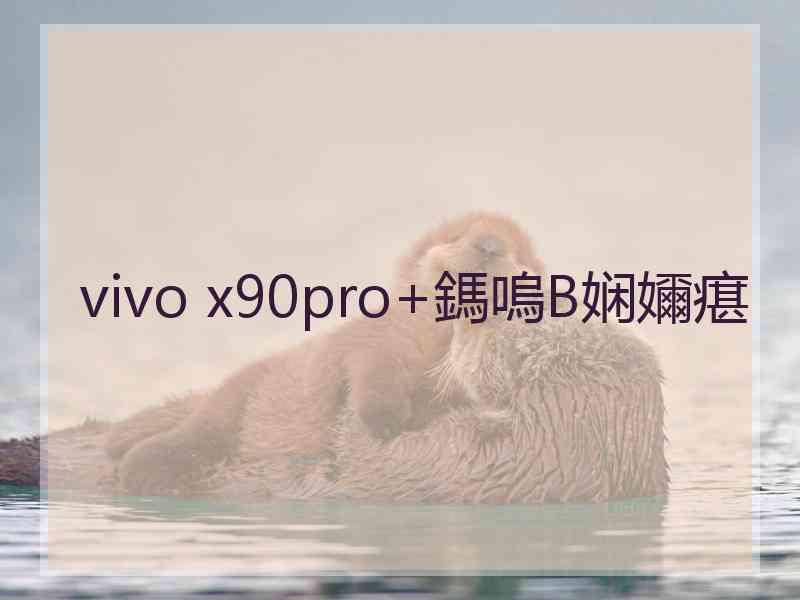 vivo x90pro+鎷嗚В娴嬭瘎