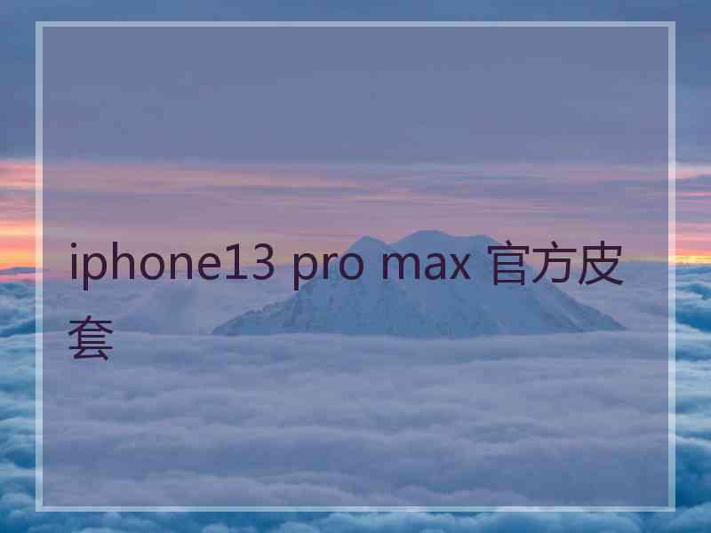 iphone13 pro max 官方皮套