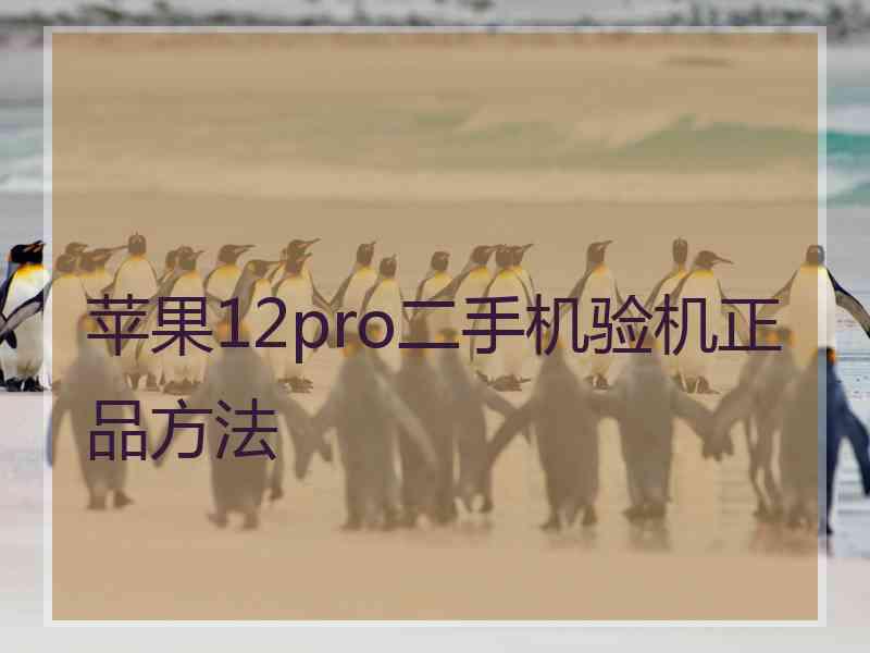 苹果12pro二手机验机正品方法