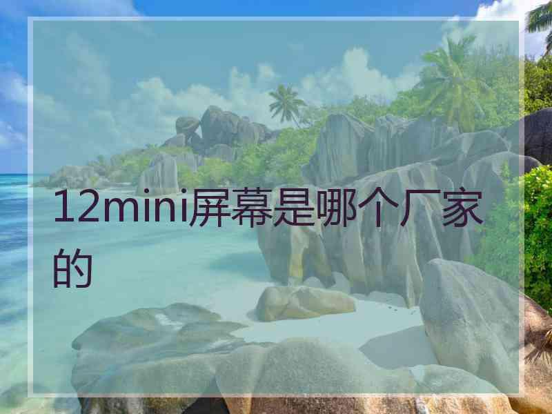 12mini屏幕是哪个厂家的