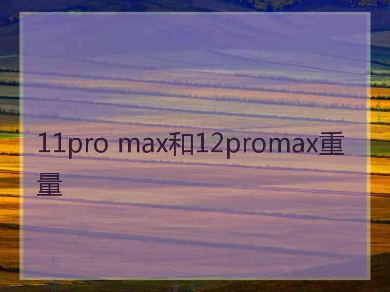 11pro max和12promax重量