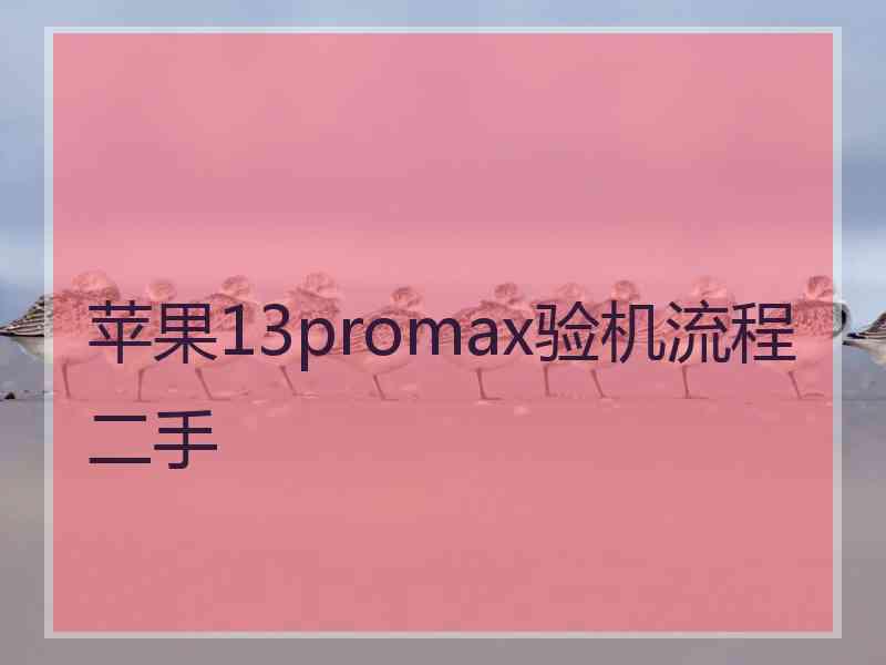 苹果13promax验机流程二手