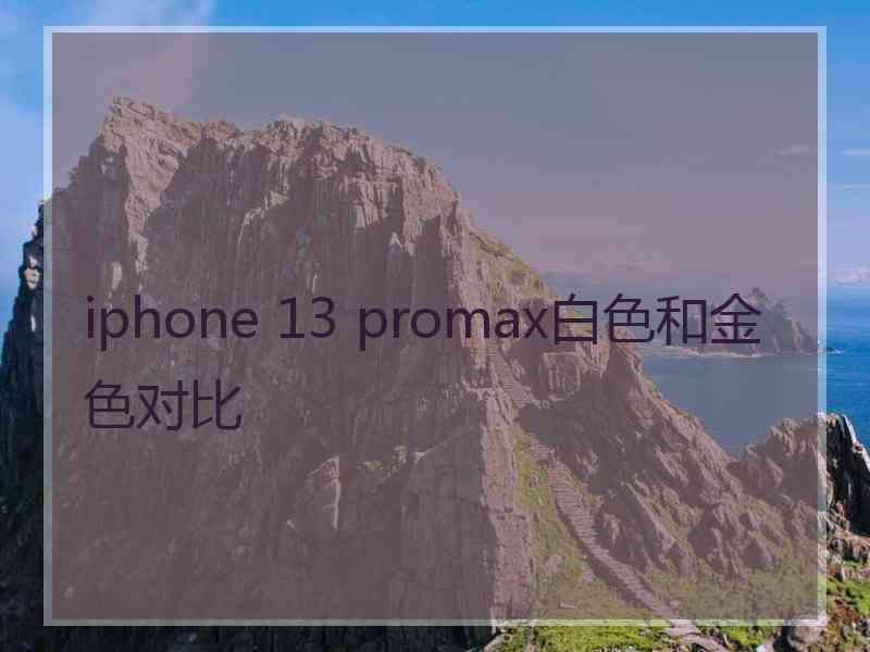 iphone 13 promax白色和金色对比