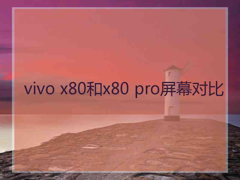 vivo x80和x80 pro屏幕对比