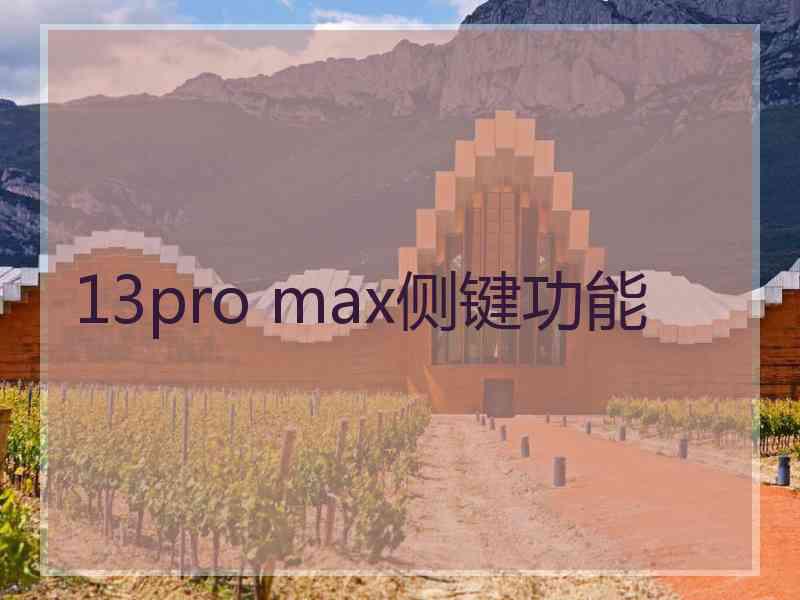 13pro max侧键功能