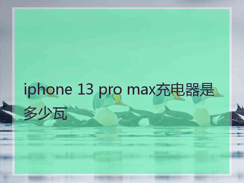 iphone 13 pro max充电器是多少瓦