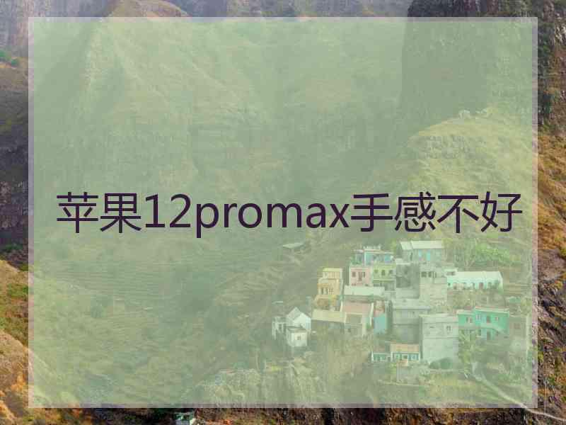 苹果12promax手感不好