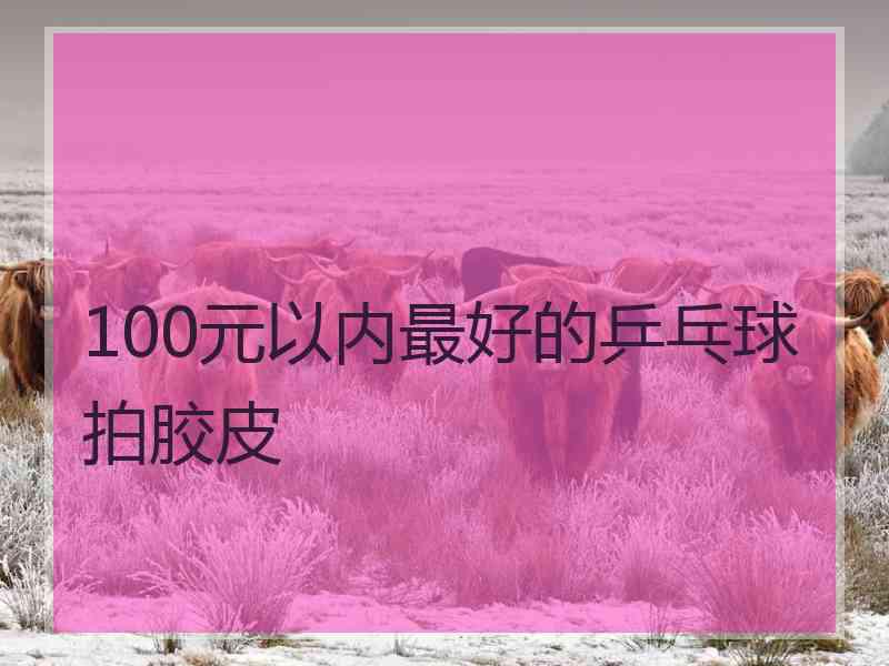 100元以内最好的乒乓球拍胶皮