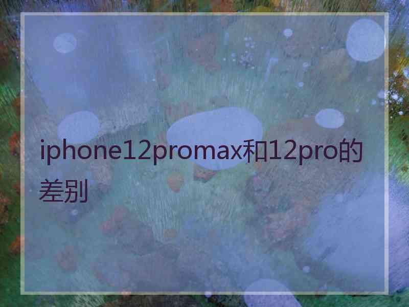 iphone12promax和12pro的差别