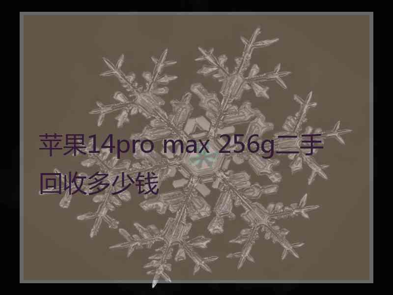 苹果14pro max 256g二手回收多少钱