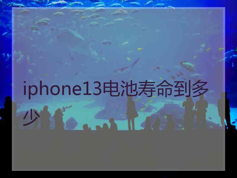 iphone13电池寿命到多少